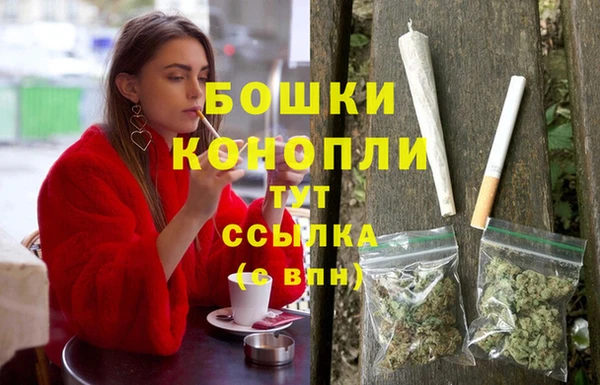 дмт Тутаев