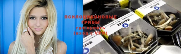 дмт Тутаев