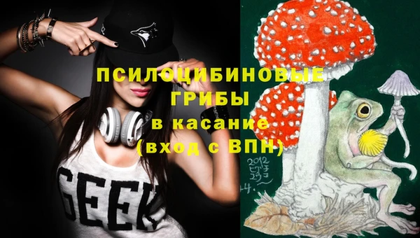 дмт Тутаев
