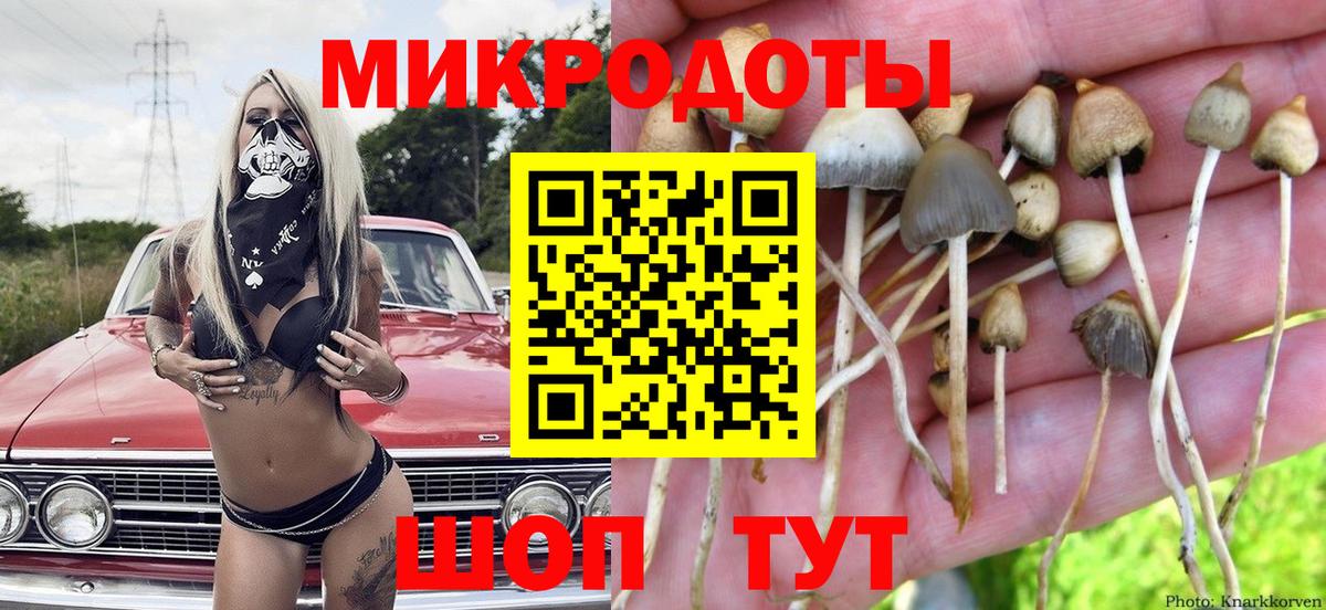 Псилоцибиновые грибы Cubensis Ростов-на-Дону