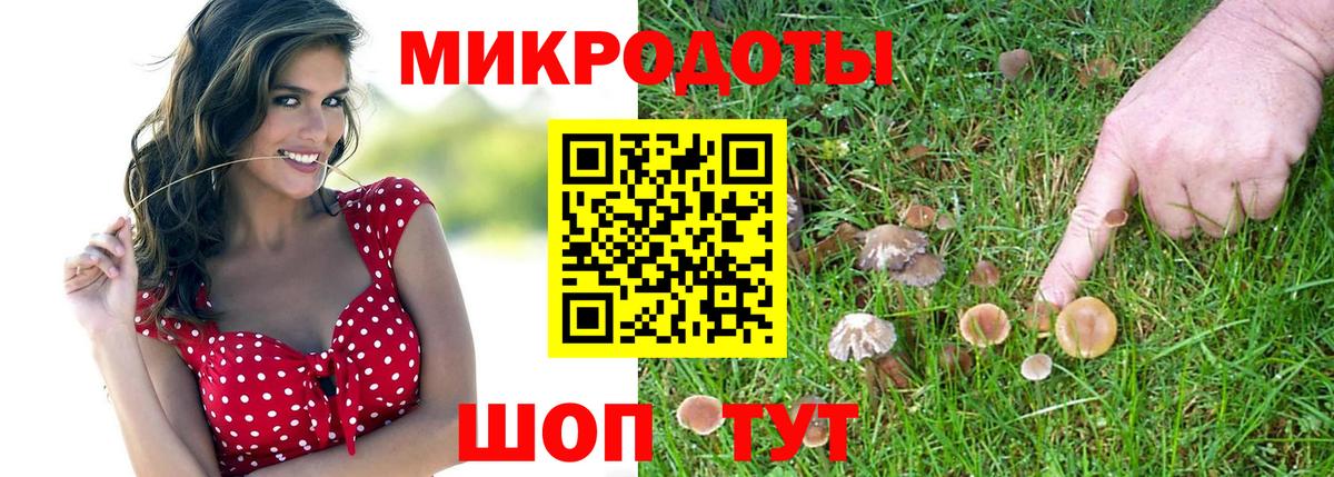 Псилоцибиновые грибы Cubensis  Псилоцибиновые грибы мицелий  Ростов-на-Дону 