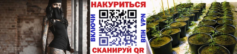 Бошки Шишки планчик  Ростов-на-Дону 